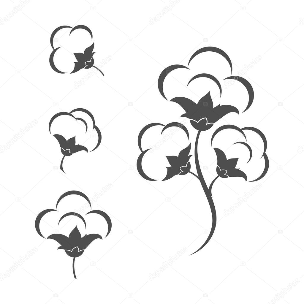 Cotton flower vector icon template symbol nature