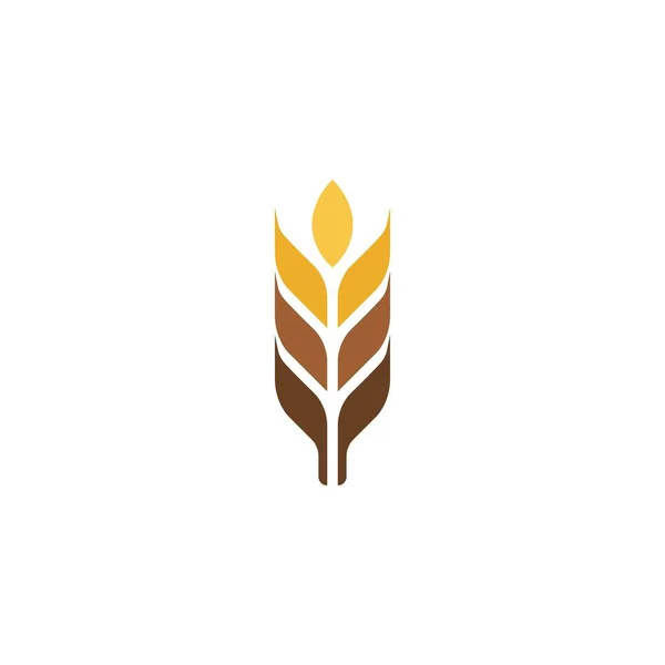 Návrh Ikon Pro Vektor Pšenice Zemědělství — Stockový vektor
