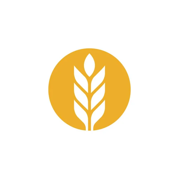 Agricoltura Grano Vettore Icona Design — Vettoriale Stock