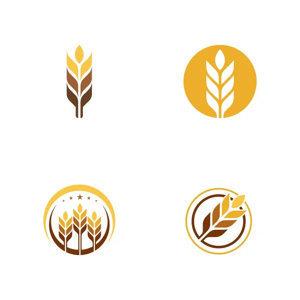 Agriculture Wheat Vector Icon Design Template — Archivo Imágenes Vectoriales