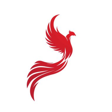 Phoenix vektör resmetme şablonu