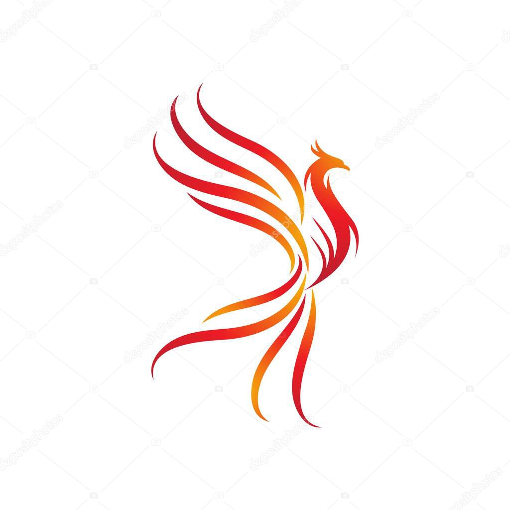 Phoenix vector icon illustration design template
