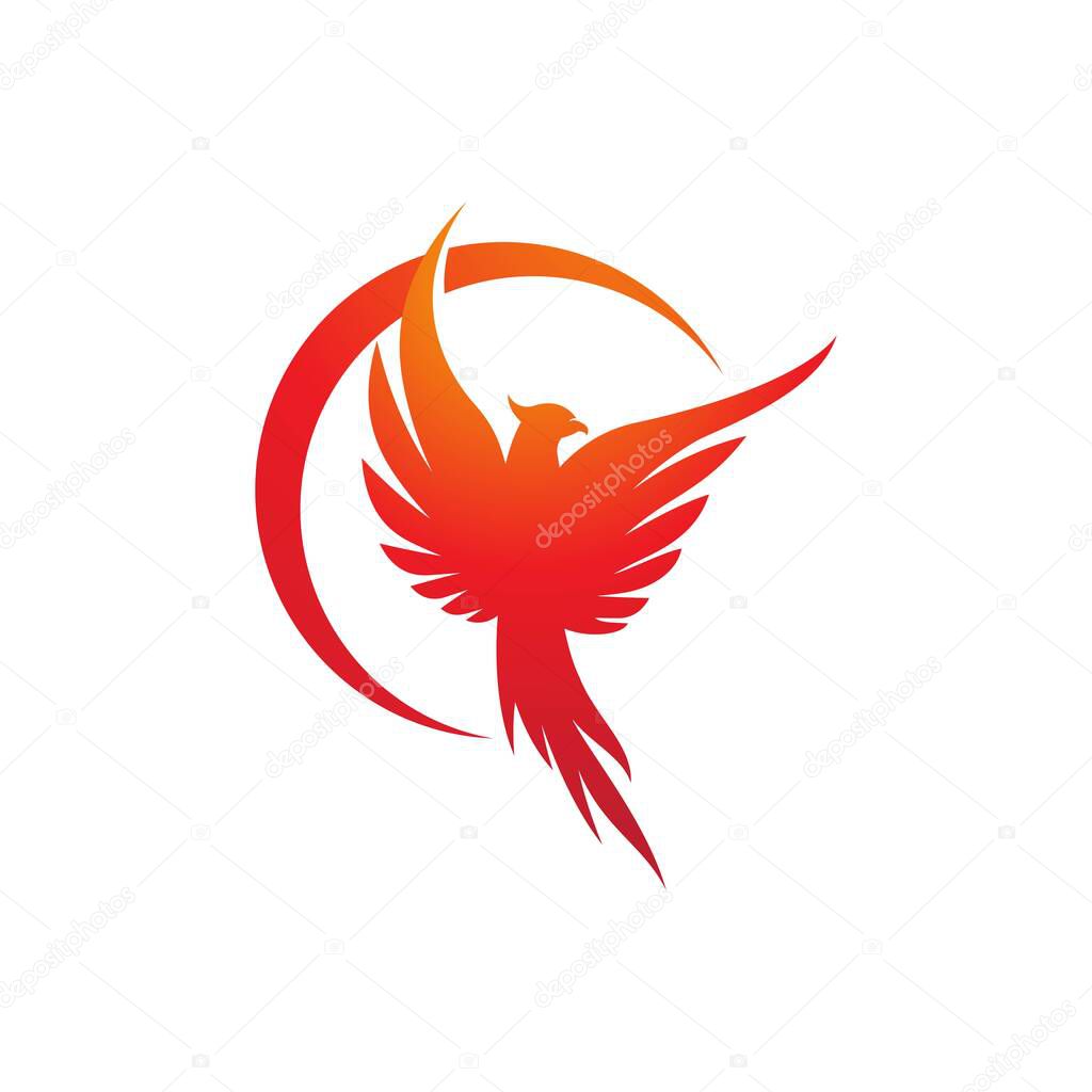 Phoenix vector icon illustration design template