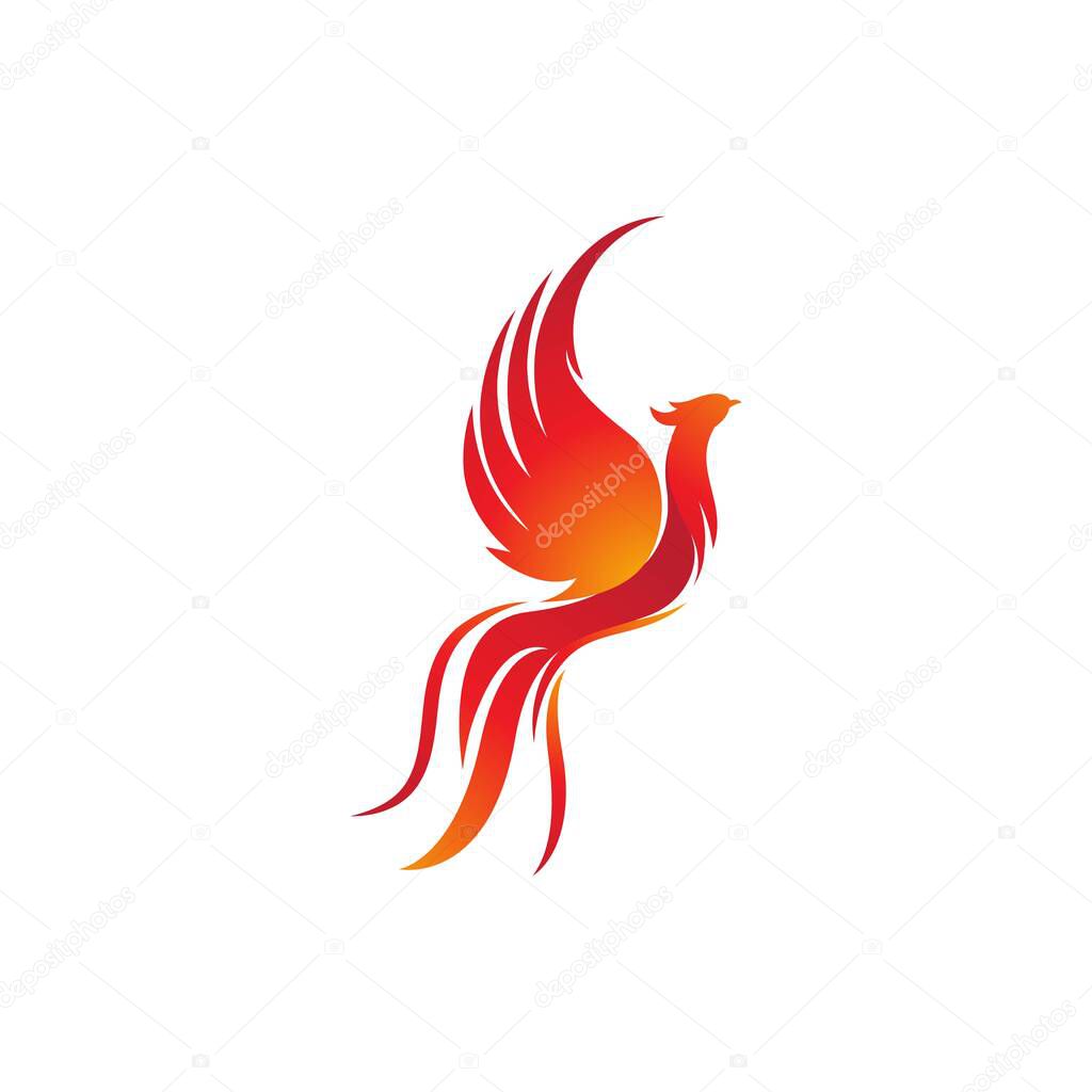 Phoenix vector icon illustration design template
