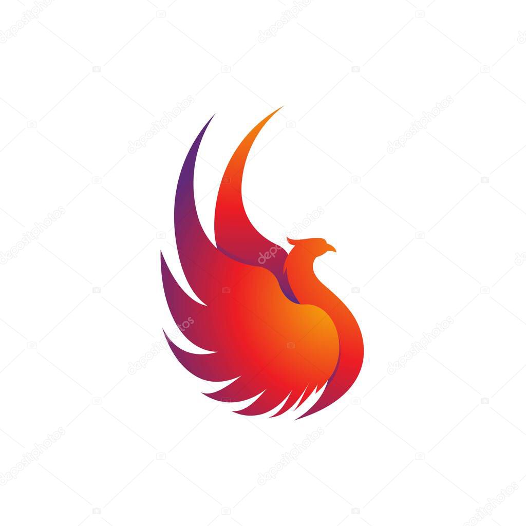 Phoenix vector icon illustration design template