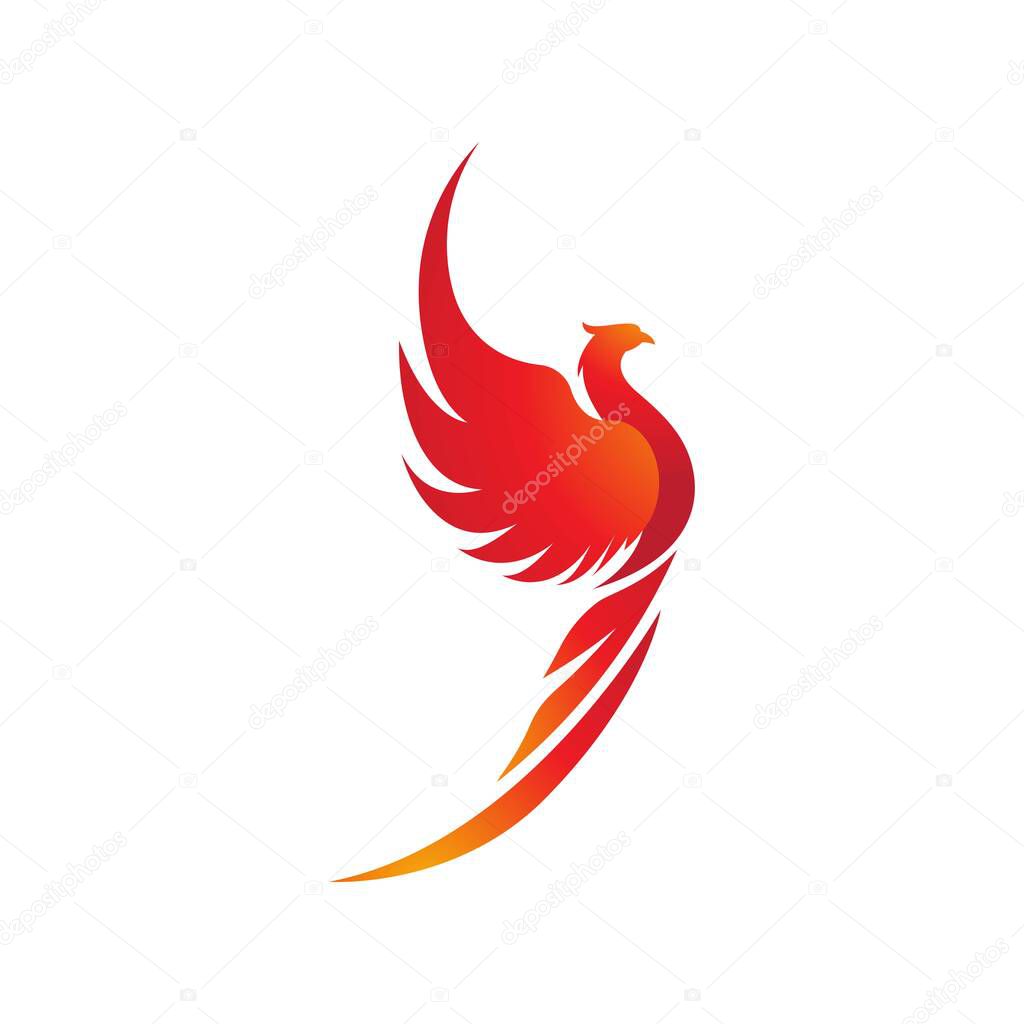 Phoenix vector icon illustration design template