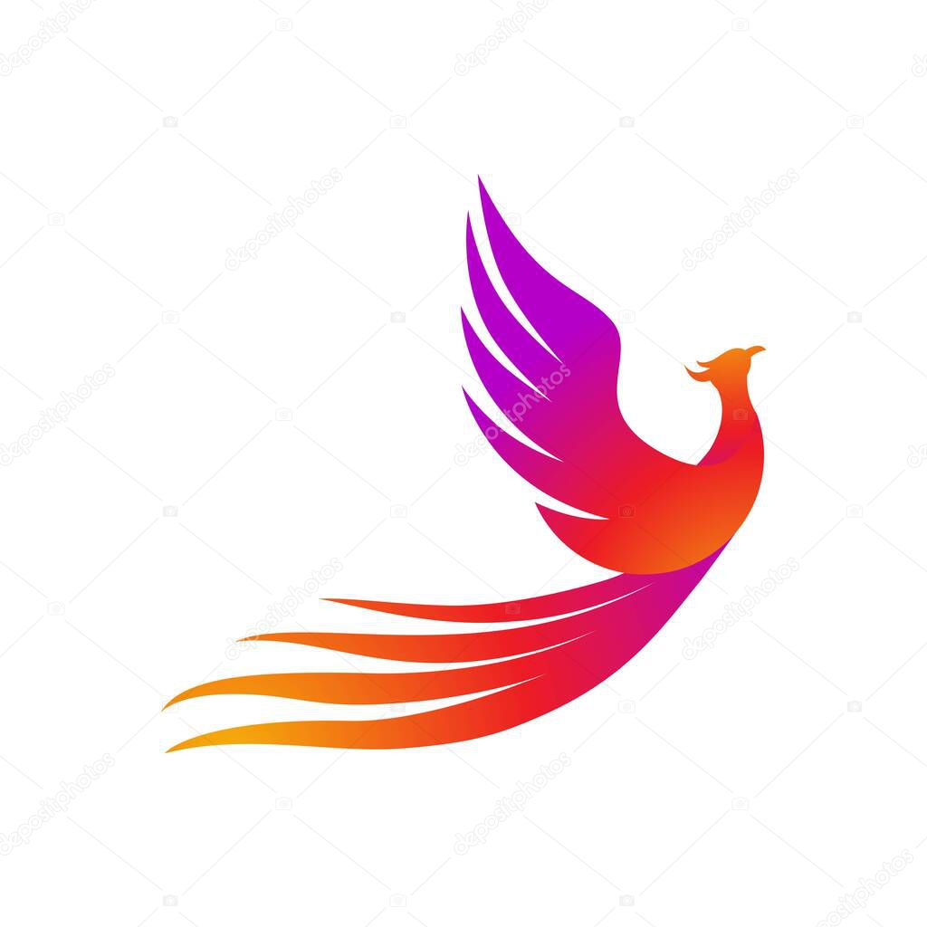 Phoenix vector icon illustration design template