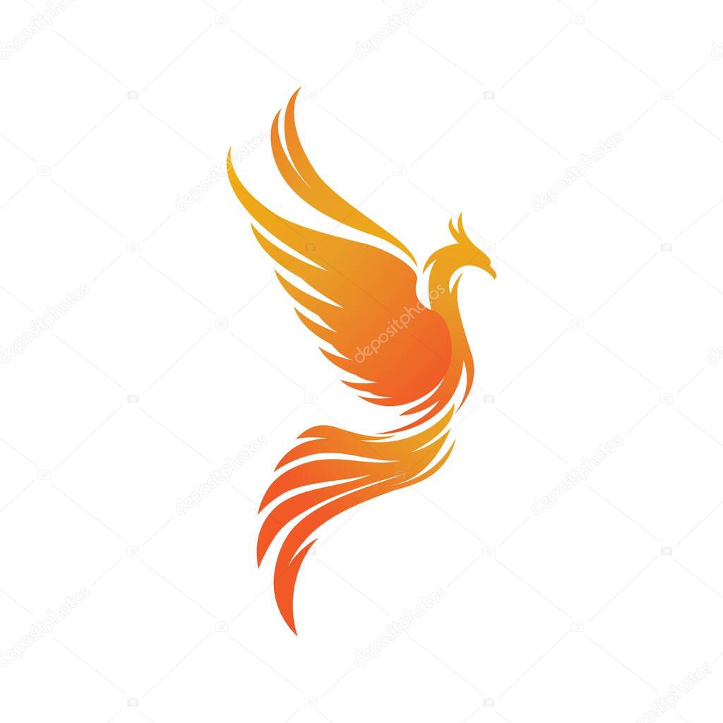 Phoenix vector icon illustration design template