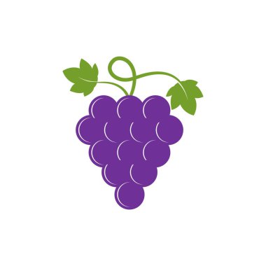 Üzüm logo şablonu vektör illüstrasyon tasarımı