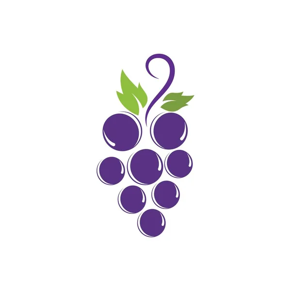 Grapes Logo Template Vector Icon Illustration Design — Stock Vector