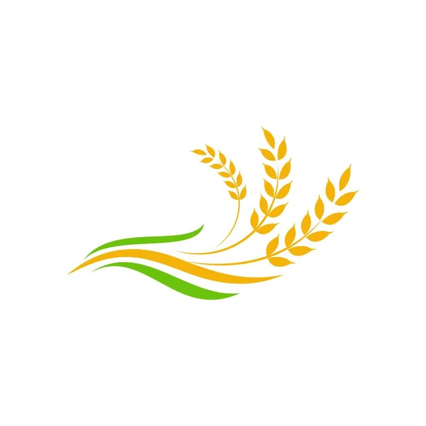 Agriculture Wheat Rice Vector Icon Design Template — Stock Vector