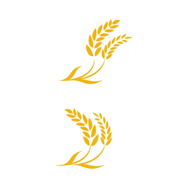 Landwirtschaft Weizen Reis Vektor Symbol Design Vorlage — Stockvektor