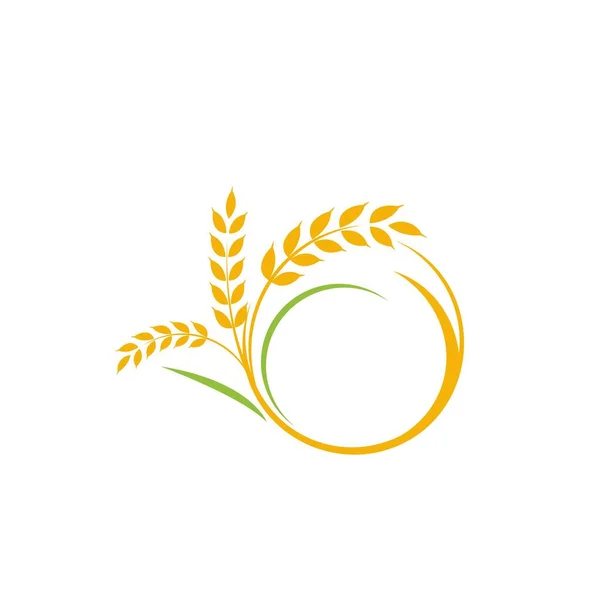 Mezőgazdaság Búza Rizs Vektor Ikon Design Sablon — Stock Vector