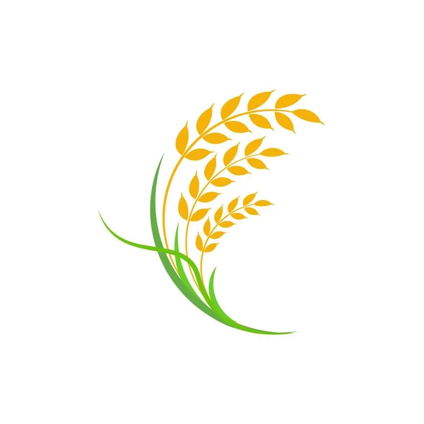 Agriculture Wheat Rice Vector Icon Design Template — Stock Vector