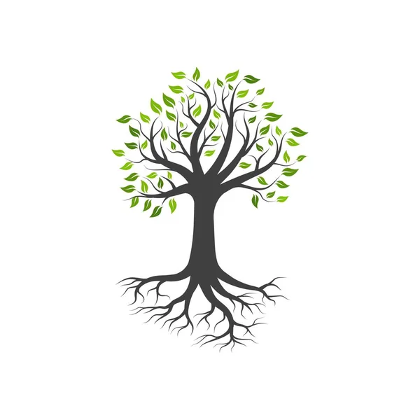 Verde Árvore Folha Ecologia Natureza Elemento Vetor Design —  Vetores de Stock