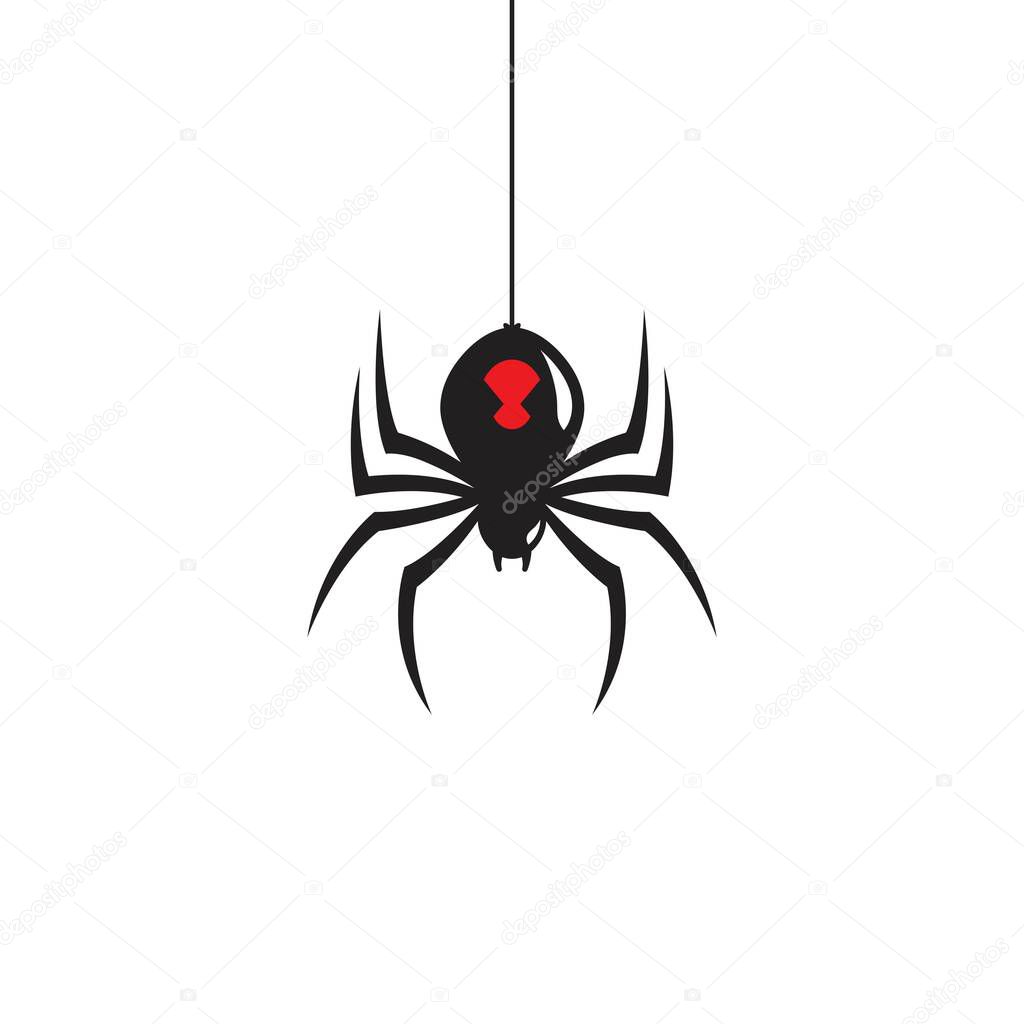 Spider icon design vector illustration design template