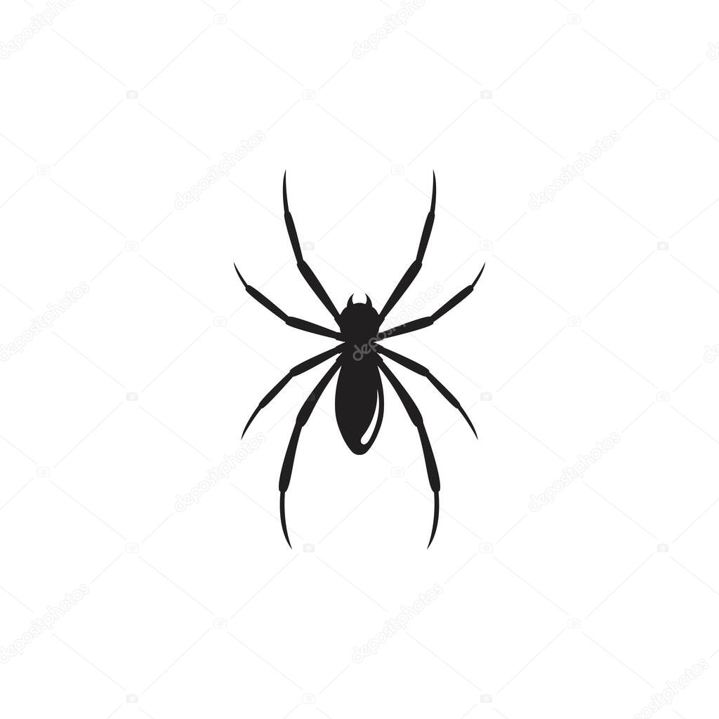 Spider icon design vector illustration design template