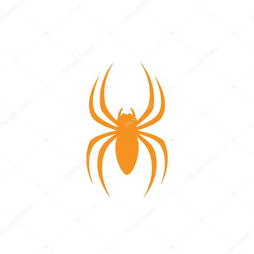 Spider icon design vector illustration design template