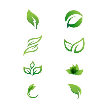 Yeşil Ağaç Yaprağı ekolojisi doğa element tasarımı