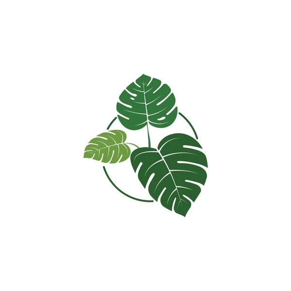 Tropical Leaf Vector Icon Design Illustration Template — Stock Vector