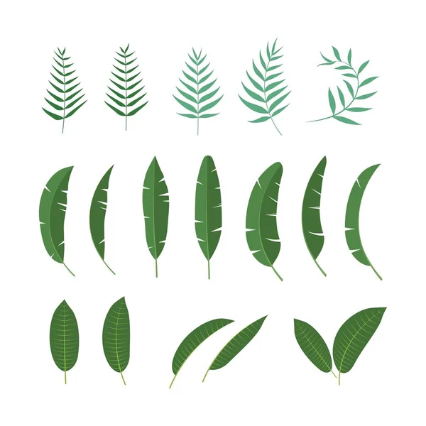 Tropical Leaf Vector Icon Design Illustration Template — Stock Vector