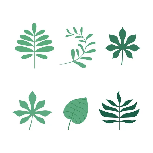 Hoja Tropical Vector Icono Diseño Ilustración Plantilla — Vector de stock