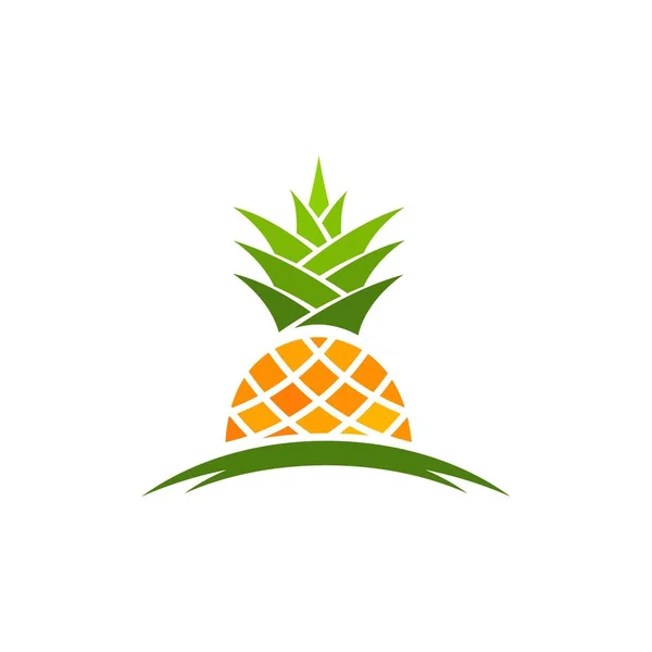 Ananas Frutta Icona Modello Vettoriale Illustrazione Design — Vettoriale Stock