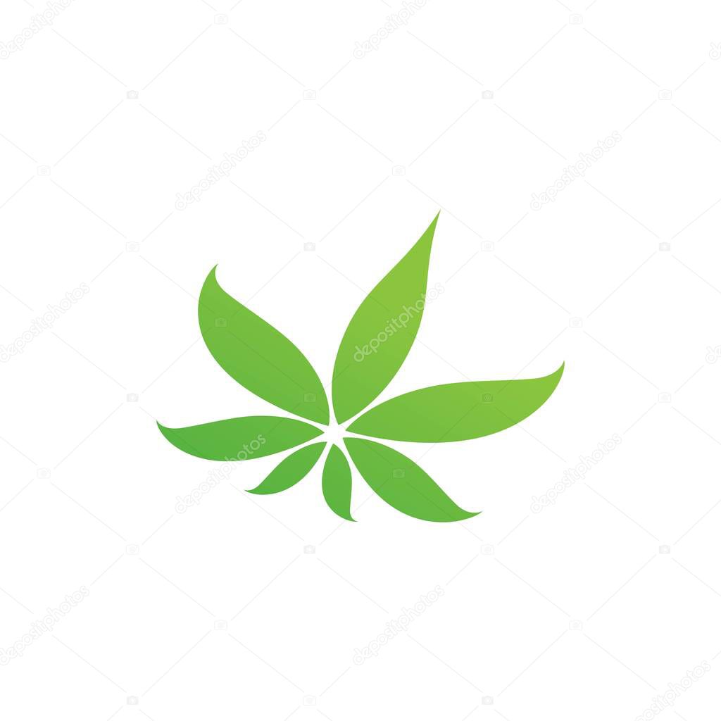 Canabis marijuana sign symbol illustration design template