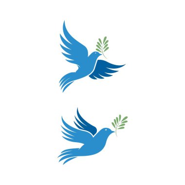 Kuş kanadı güvercin logosu vektör çizimi