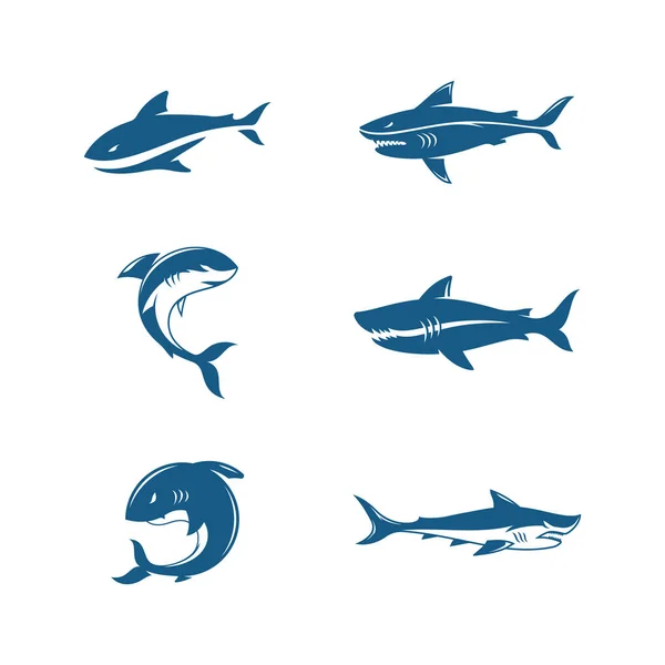 Tubarão Ilustração Ícone Designtemplate Vector — Vetor de Stock