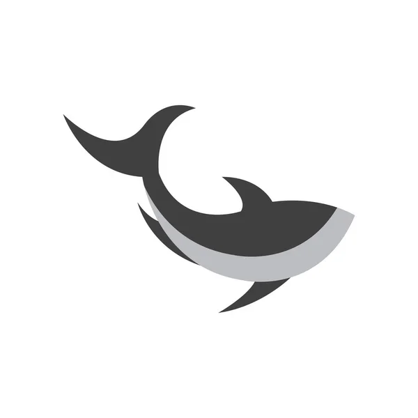 Tubarão Ilustração Ícone Designtemplate Vector — Vetor de Stock