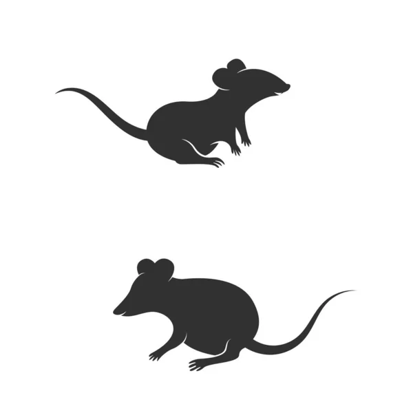 Ratte Niedlich Vector Ikone Design Illustration Vorlage — Stockvektor