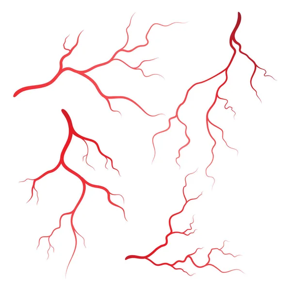 Menschliche Venen Und Arterien Illustration Design Vorlage — Stockvektor