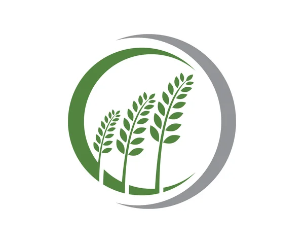 Eco vert — Image vectorielle