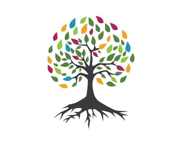 エコ木のロゴのテンプレート — ストックベクタ