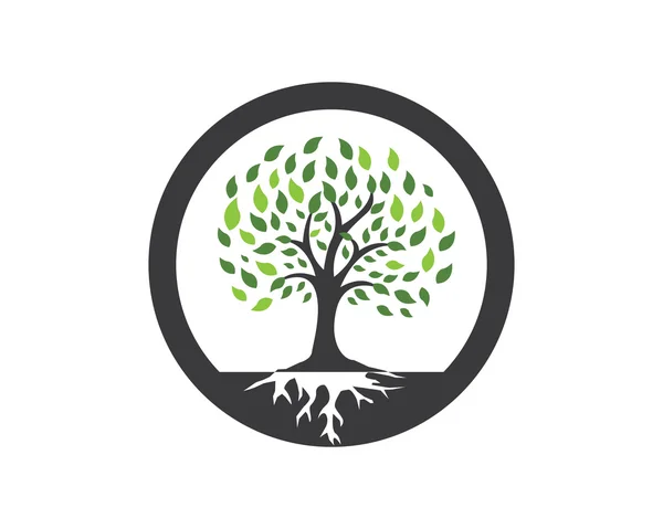 Plantilla de logotipo de árbol ecológico — Vector de stock