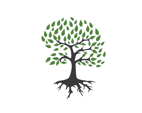 Szablon Logo drzewo eko — Wektor stockowy