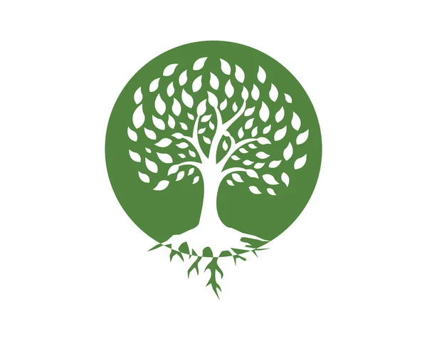 Family tree logo Vector Art Stock Images | Depositphotos