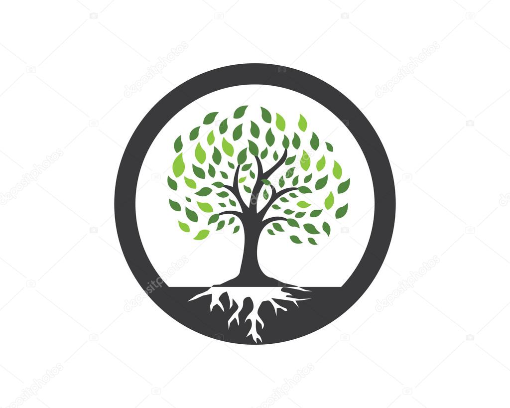 Modelo De Logotipo De árvore Ecológica Logotipo Planta árvore Genealógica  Vetor PNG , Logotipo, Plantar, árvore Genealógica Imagem PNG e Vetor Para  Download Gratuito