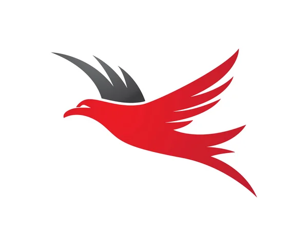 Falke-Logo-Vorlagenvektor — Stockvektor