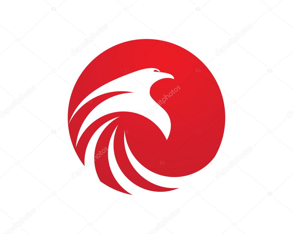 Falcon Logo Template Vector