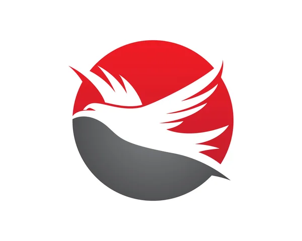 Falcon Logo šablon Vector — Stockový vektor