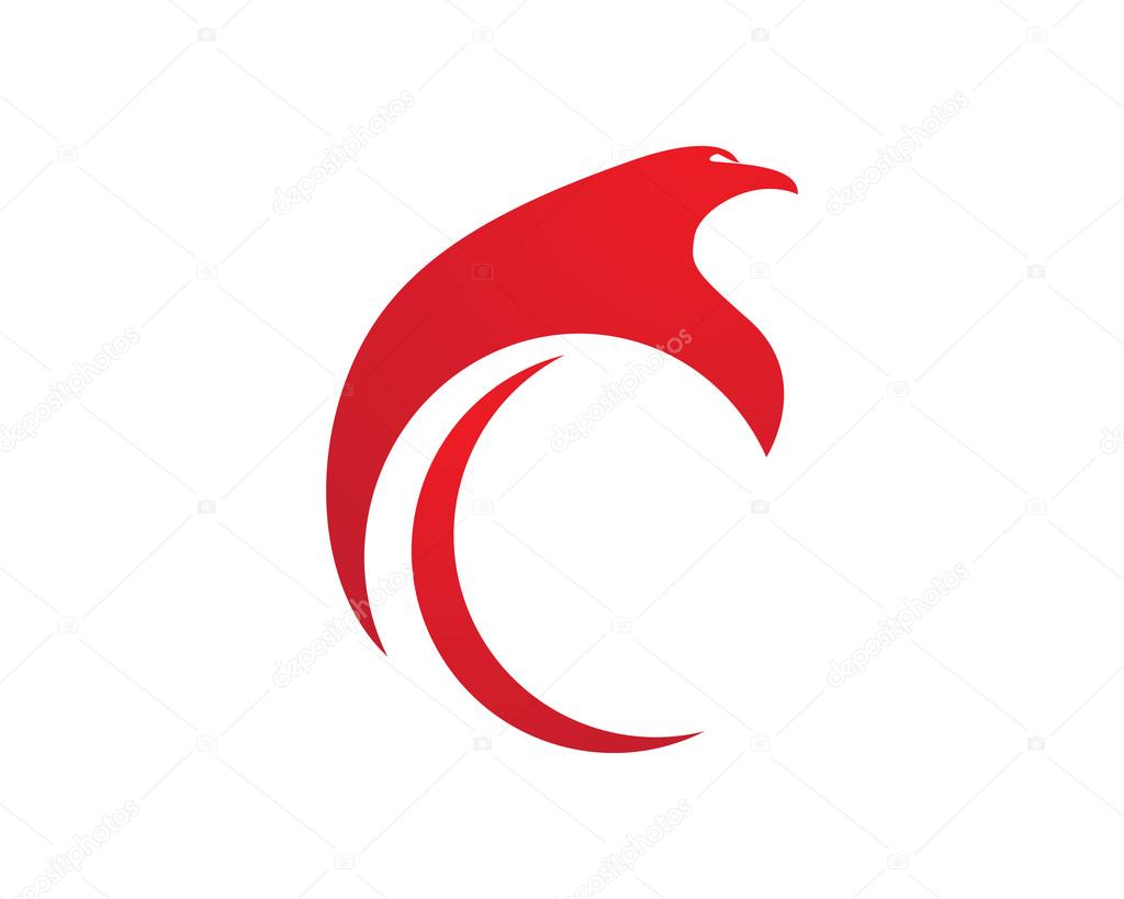 Falcon Logo Template Vector
