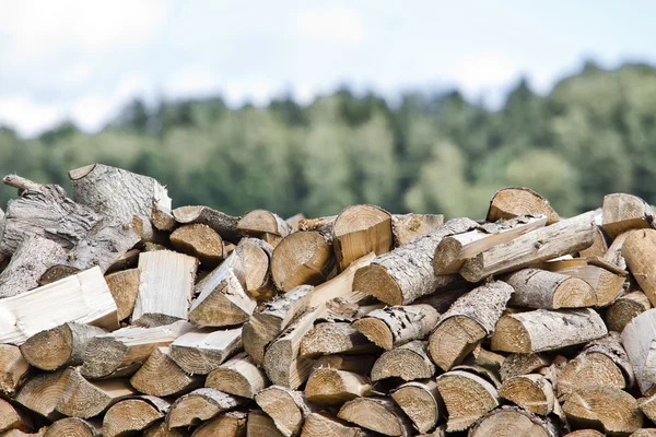 Leña en la naturaleza - Madera —  Fotos de Stock