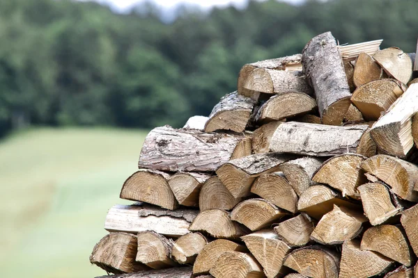 Leña en la naturaleza - Madera —  Fotos de Stock