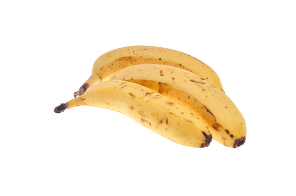 Три над стиглими бананами ізольовані на білому тлі — стокове фото