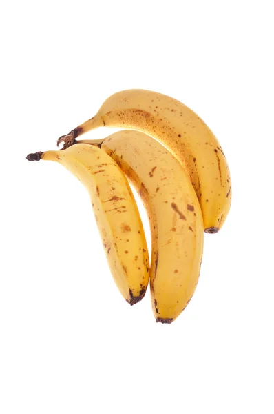 Три над стиглими бананами ізольовані на білому тлі — стокове фото