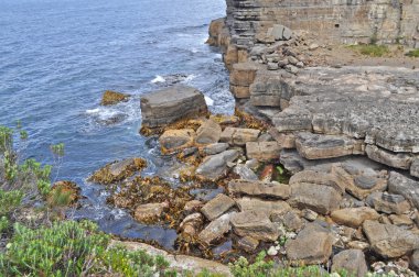 Güzel Sahili Tasmania, Avustralya
