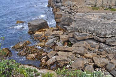 Güzel Sahili Tasmania, Avustralya