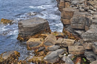 Güzel Sahili Tasmania, Avustralya